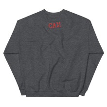 Load image into Gallery viewer, Stay Dangerous Unisex Sweatshirt
