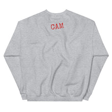 Load image into Gallery viewer, Stay Dangerous Unisex Sweatshirt
