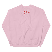 Load image into Gallery viewer, Stay Dangerous Unisex Sweatshirt
